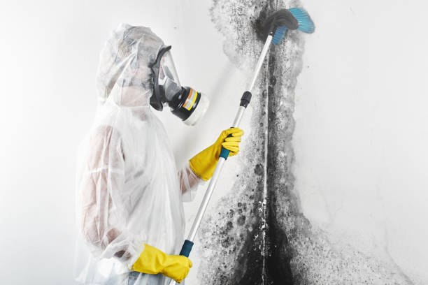 Professional Water damage restoration in Upland, IN